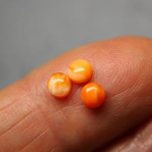 May include: Three round orange and white shell beads.