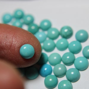 6mm Campitos Turquoise Cabochons
