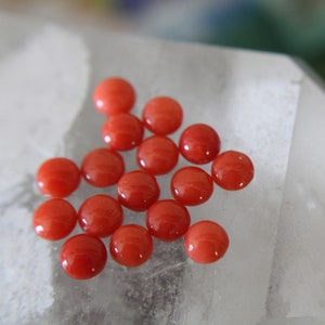 5mm Red Coral Cabochons