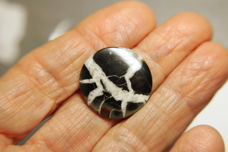 Cabbed Septarian Nodules-Black and White 23.5mm & 18x30mm image 3
