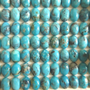 5x7 キングマン ターコイズ キャブス - パーセル T