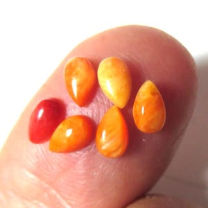 3x5 Teardrop Spiny Oyster Shell Cabs---Small Parcels