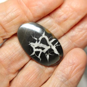 Cabbed Septarian Nodules-Black and White 23.5mm & 18x30mm image 2