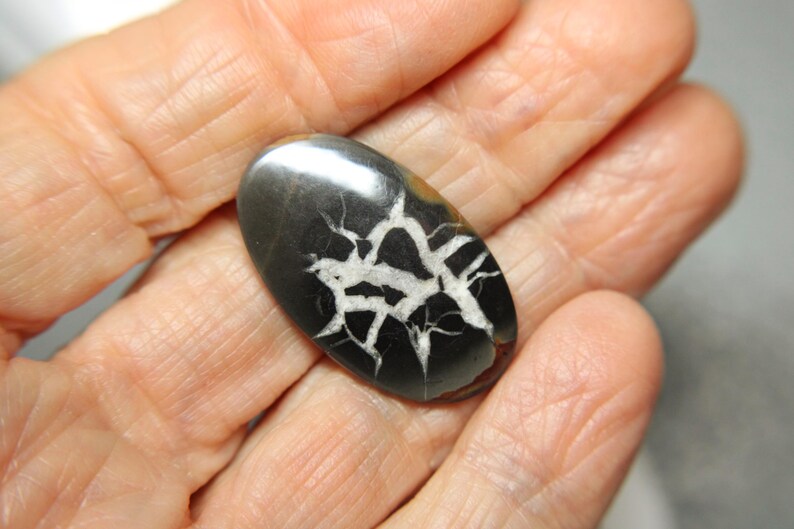 Cabbed Septarian Nodules-Black and White 23.5mm & 18x30mm image 2