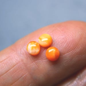 4 mm runda Spiny Oyster Cabs - Små paket