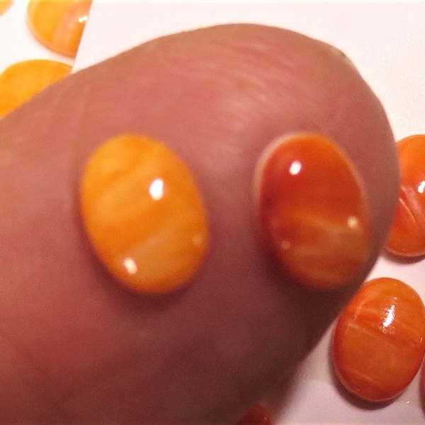 Cabernet Sauvignon ovalado de ostra espinosa de 5x7