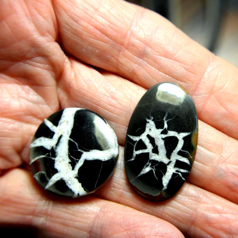 Cabbed Septarian Nodules-Black and White 23.5mm & 18x30mm image 1