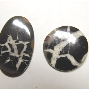Cabbed Septarian Nodules-Black and White 23.5mm & 18x30mm image 5