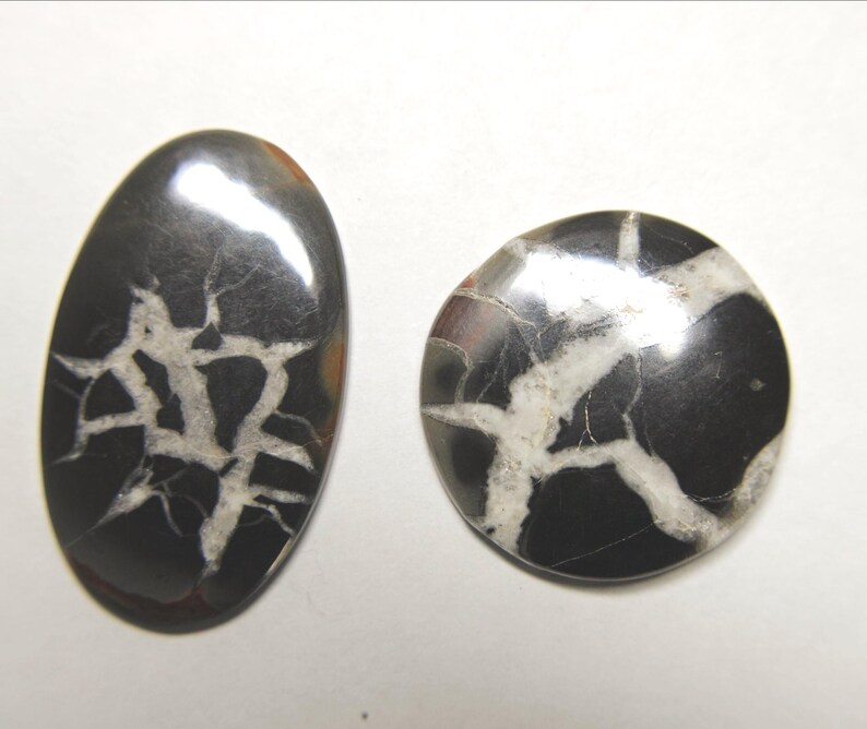 Cabbed Septarian Nodules-Black and White 23.5mm & 18x30mm image 5