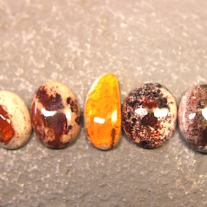 May include: Five polished, oval-shaped gemstones arranged in a horizontal row. The stones display varied patterns including cream, dark brown, and deep red speckles, with one central stone featuring a vibrant, solid orange-yellow hue.