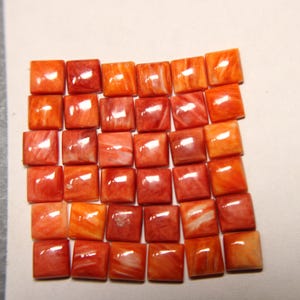 Spiny Oyster Squares-6mm-Small Parcels--small parcels
