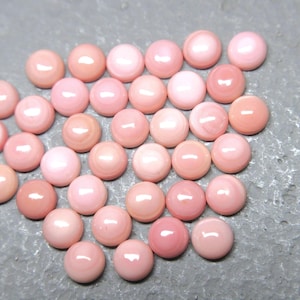 6mm Calibrated Conch Shell Cabs