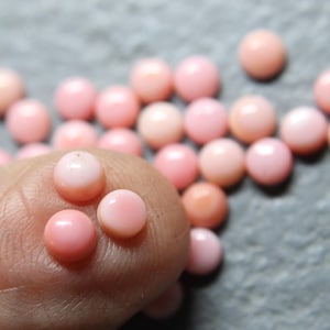 5mm Natural Pink Conch Shell Cabochons-Small Parcels