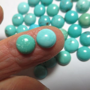 8mm Round Campitos Turquoise Cabochons