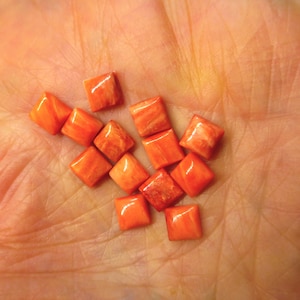 Spiny Oyster Squares-6mm-Small Parcels--2 stones left