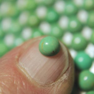 5mm Kingman Round Turquoise--Greener