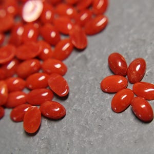 3x5 Red Coral Cabochons-ovals-small parcels