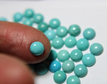 6mm Campitos Turquoise Cabochons