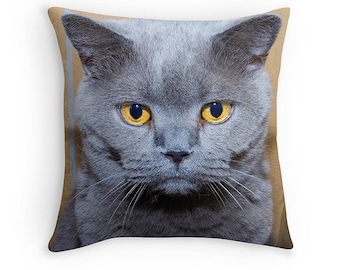 Grumpy British Blue Cat Cushion