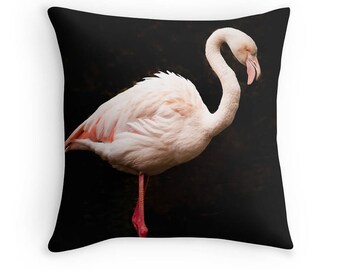 Flamingo Photograph Cushion, Double-Sided Print