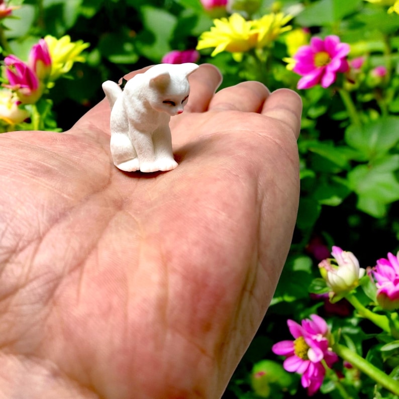 Tiny cat figurine – the perfect addition to your fairy garden or desk décor.

Collectible kitty statue for cat lovers and miniature décor enthusiasts.

Handcrafted detail brings charm and personality to your display.

Small size makes it ideal for terrariums, dollhouses, or tiny scenes.

Unique gift for birthdays, stocking stuffers, or cat-themed presents.

High-quality materials for lasting durability and cuteness.

Makes whimsical desk décor for home or office.