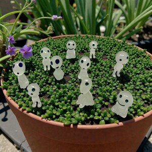 This charming Kodama spirit companion is the perfect plant accessory for adding character to your greenery. Inspired by ancient tree spirits of Japanese folklore, it brings a peaceful forest vibe to indoor gardens, fairy landscapes, and decorative displays. Its small size makes it easy to place anywhere, making it a thoughtful and unique gift for plant parents and decor lovers.
