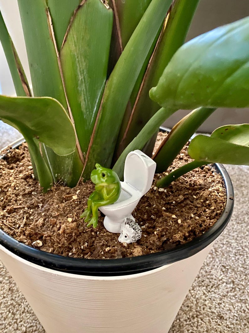 This whimsical frog on toilet figurine adds instant personality to any room. Perfect as funny bathroom decor or a silly shelf accent, it’s a popular novelty frog statue and gag gift. Small, charming, and unforgettable, it’s a must-have for frog lovers and collectors.