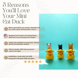 This hilarious cat-on-duck figurine is the perfect blend of cute and ridiculous, making it an ideal gag gift or stocking stuffer for the holidays. Crafted with charm, it’s small enough for desks, shelves, and gift boxes, but big enough to spark laughs. A must-have for cat lovers, animal figurine collectors, or anyone who appreciates tiny, joyful, conversation-starting décor.