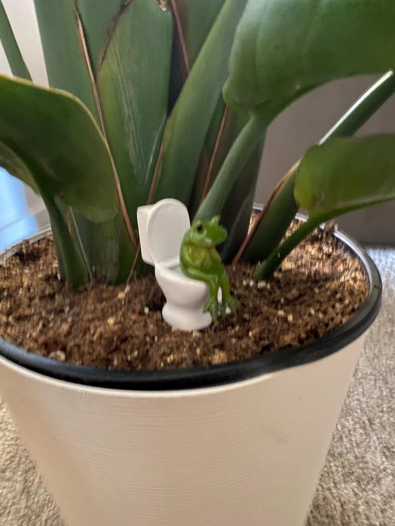 Turn ordinary decor into a conversation starter with this funny frog figurine on a toilet. A compact novelty frog statue that’s perfect for bathrooms, offices, and desks, it makes a hilarious gag gift or stocking stuffer. Loved by frog lovers and fans of quirky, humorous decor.