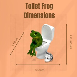Make your bathroom decor memorable with this funny frog figurine sitting on a toilet. This novelty frog statue is a lighthearted gag gift that works for birthdays, holidays, white elephant exchanges, and stocking stuffers. Perfect for frog lovers and fans of silly home decor that stands out.