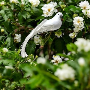 May include: A white decorative dove with a long, flowing tail, perched amidst a lush green bush with white flowers. The dove has a detailed, realistic appearance, adding a touch of elegance to the natural setting.