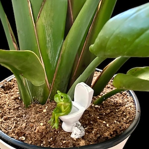 Add a dose of humor with this funny frog toilet figurine, a standout piece of novelty bathroom decor. Designed to delight frog lovers and fans of quirky gifts, it’s perfect for shelves, desks, and small spaces. A great gag gift or stocking stuffer that delivers big laughs in a small size.