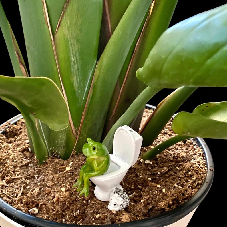 Add a dose of humor with this funny frog toilet figurine, a standout piece of novelty bathroom decor. Designed to delight frog lovers and fans of quirky gifts, it’s perfect for shelves, desks, and small spaces. A great gag gift or stocking stuffer that delivers big laughs in a small size.