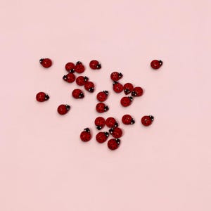 May include: A collection of small, glossy red ladybug-shaped embellishments scattered across the frame. Each piece features a vibrant red domed back with distinct black spots and a small black head detail, creating a uniform appearance.