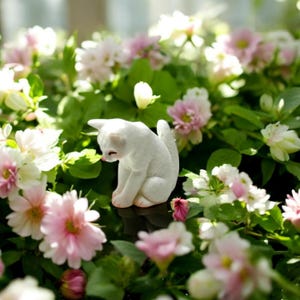 Makes whimsical desk décor for home or office.

Perfect for collectors of animal miniatures and figurines.