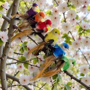 May include: A collection of colorful artificial birds perched on tree branches with white blossoms. The birds feature vibrant hues of purple, orange, red, yellow, blue, and green, with long, feathery tails. The background is a soft focus of white flowers.