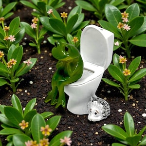 Add instant personality to your space with this silly frog on toilet figurine. This funny frog decor is a top choice for bathroom shelves, desks, office cubicles, and gift baskets. A unique novelty frog statue that works as a gag gift, white elephant gift, or humorous home decor piece for anyone who loves frogs and quirky humor.