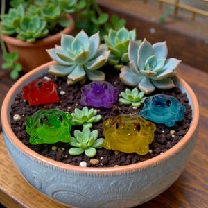 May include: A light blue ceramic bowl filled with soil, succulents, and colorful glass frog figurines. The frogs are red, purple, green, yellow, and blue. The succulents are a light green color.