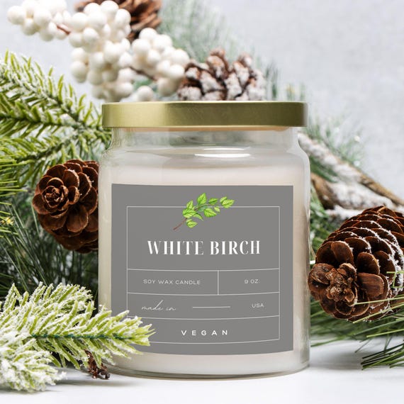 White Birch Scented Candle - Apothecary Jar 9oz -07