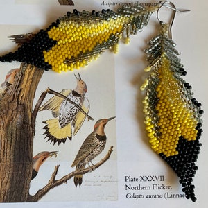 Northern Flicker Beaded Feather Earrings image 1