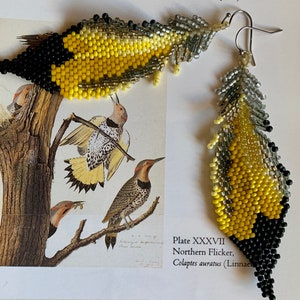 Northern Flicker Beaded Feather Earrings image 6