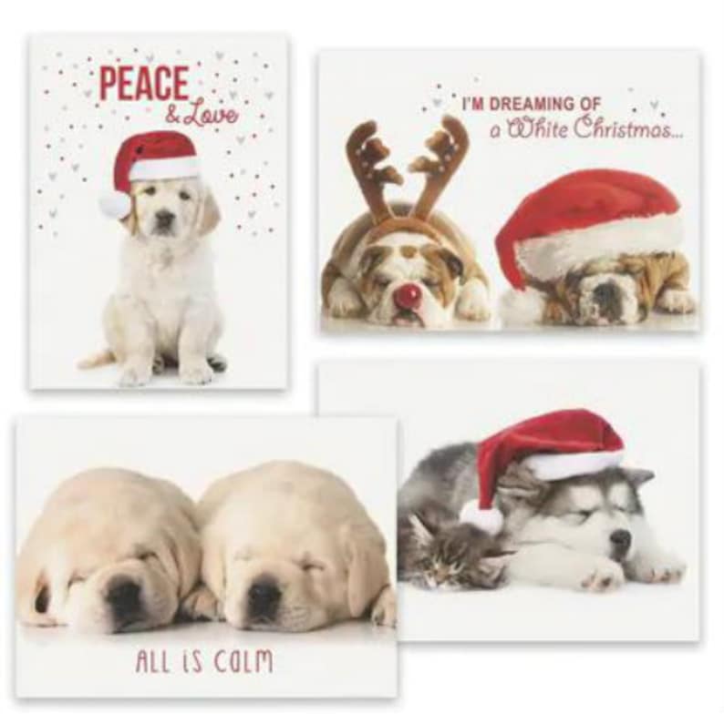 Box of 16 Assorted Puppy Love Cute Dog Themed Holiday Christmas Cards ...