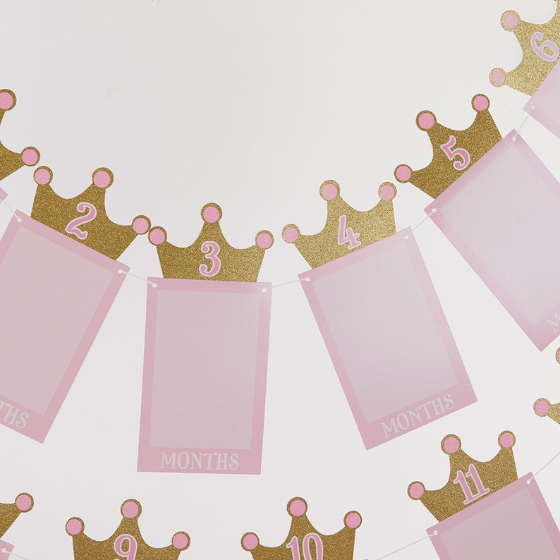 Princess Themed 1st Birthday Milestone Photo Banner and Cake Topper Birthday Party Decorations