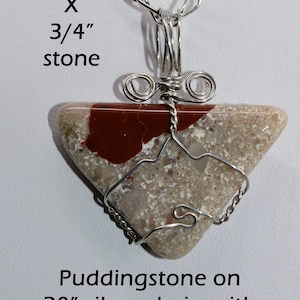 Wire Wrapped Puddingstone Pendant Necklace: Michigan Petoskey Stone