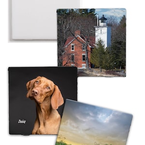 May include: Four square ceramic tiles with different images. One tile features a white lighthouse with a red brick house in the background. Another tile features a brown and white dog with the name "Daisy" written below. The third tile features a path through a field of green grass with a cloudy sky in the background. The last tile is blank.