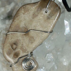 May include: A beige fossilised coral pendant with a silver wire wrap, hanging from a black leather cord. The pendant is on a white background with the number "#6" written below it.