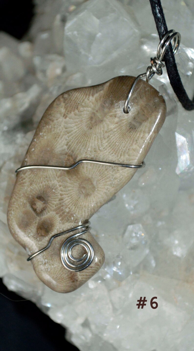 May include: A beige fossilised coral pendant with a silver wire wrap, hanging from a black leather cord. The pendant is on a white background with the number "#6" written below it.