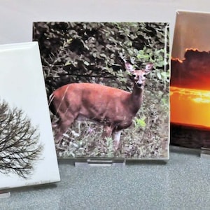 May include: Three ceramic tiles with different nature-themed images. The first tile features a silhouette of a tree against a white background. The second tile shows a deer in a forest setting. The third tile depicts a sunset over a body of water.