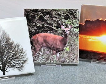 Personalized Photo Ceramic Tile: Custom Art, Memorial Gift