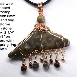 May include: Copper wire wrapped Petoskey stone pendant with an 8mm bead and tiny freeforms. The main stone is approximately 2 1/4 inches by 7/8 inches. The pendant hangs from a 24 inch cord with a large spring ring clasp.